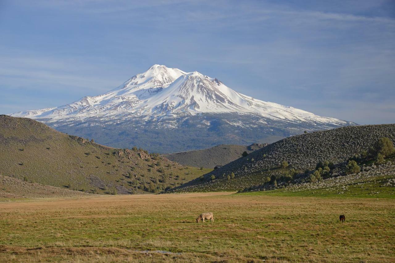 Inn At Mount Shasta Exterior foto